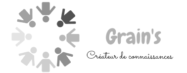 logo nb grains